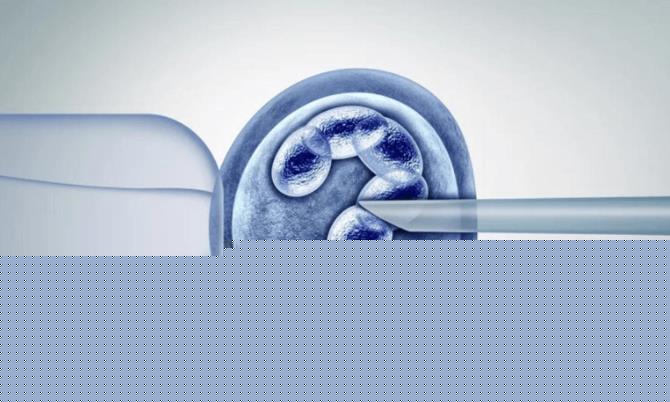 杭州做試管價格 2023杭州供卵試管嬰兒費用 ‘b超形狀看男女’