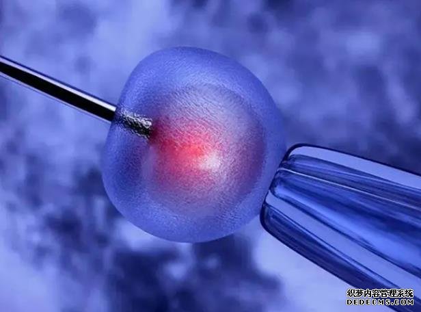 濟南試管嬰兒醫院前三名費用成功率公布-深圳武警醫院二代試管嬰兒的費用大約是多少