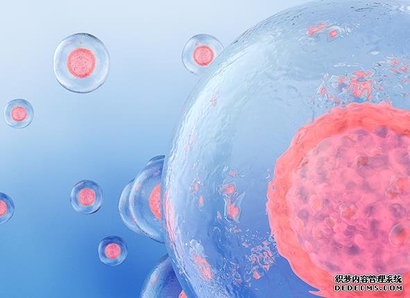 女性160斤做二代試管嬰兒成功率有多少?-廣州附屬第三醫(yī)院試管嬰兒