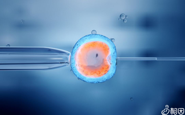 試管嬰兒移植手術也是非常關鍵的