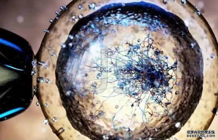 龍嬰助孕網(wǎng)_什么叫第三方助孕_夫妻花2.2萬找“專家”做試管嬰兒生男孩,之后的事令人傻眼!