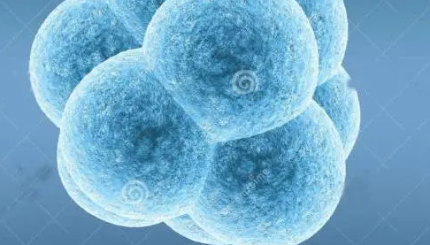 1692255766888672.png 9.png