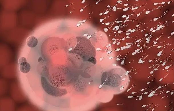 1692256153392674.png 22.png