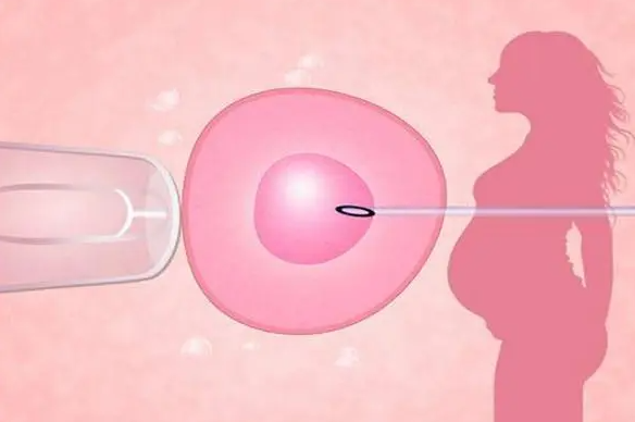 1692256509593638.png 43.png