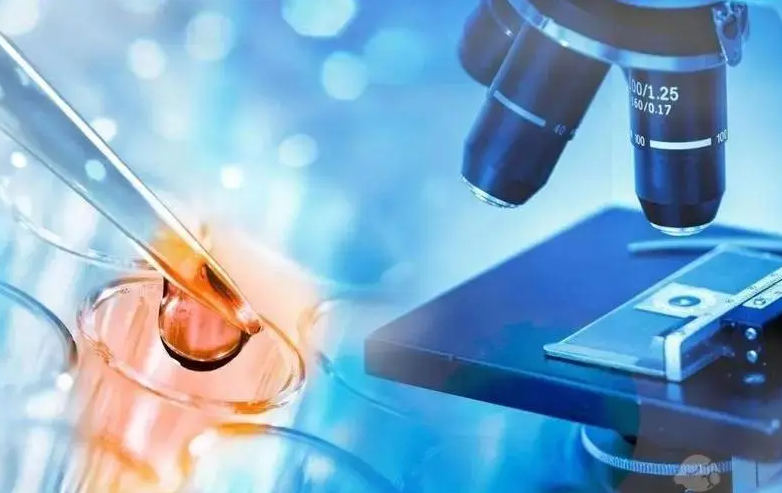 1692329735256997.png 1692329735256997.png