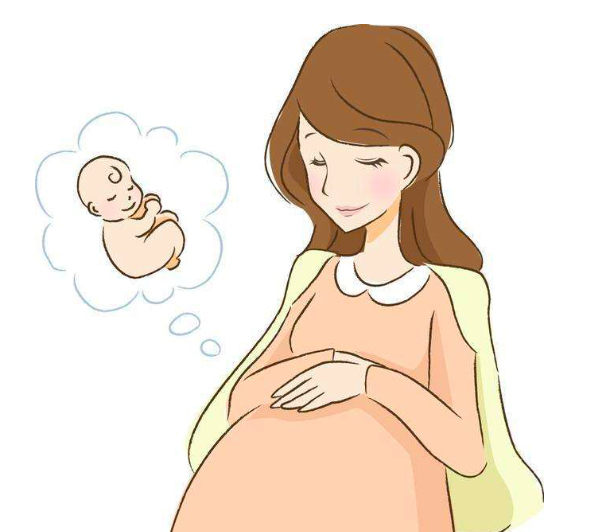 1692341737819077.jpeg 4A5286252.jpeg