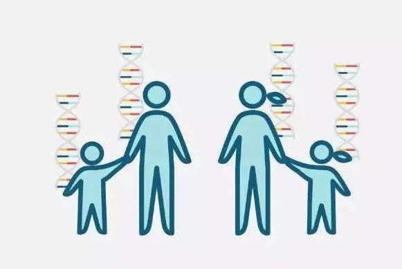 1692687908684261.png 58.png