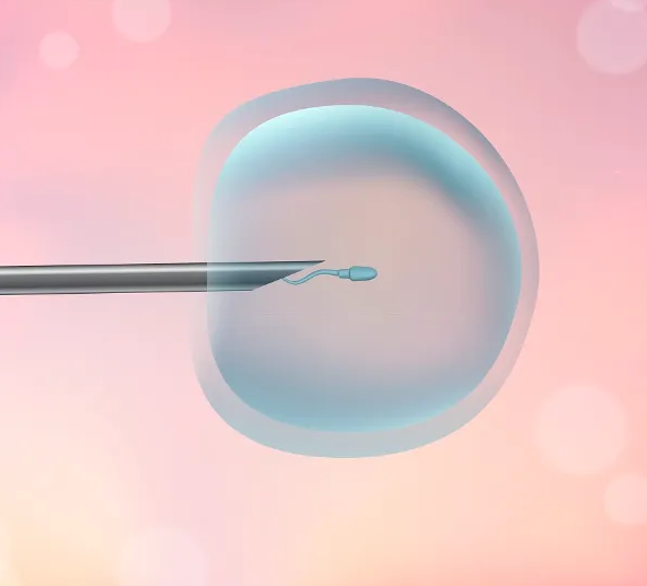 1692688312589236.png 3745E69F3.png