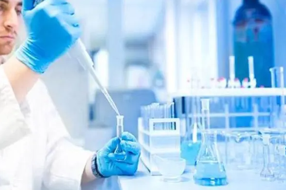 1692688990835886.png 29.png