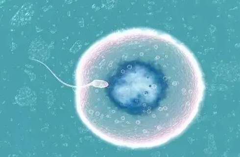 1692774539285994.png 11.png