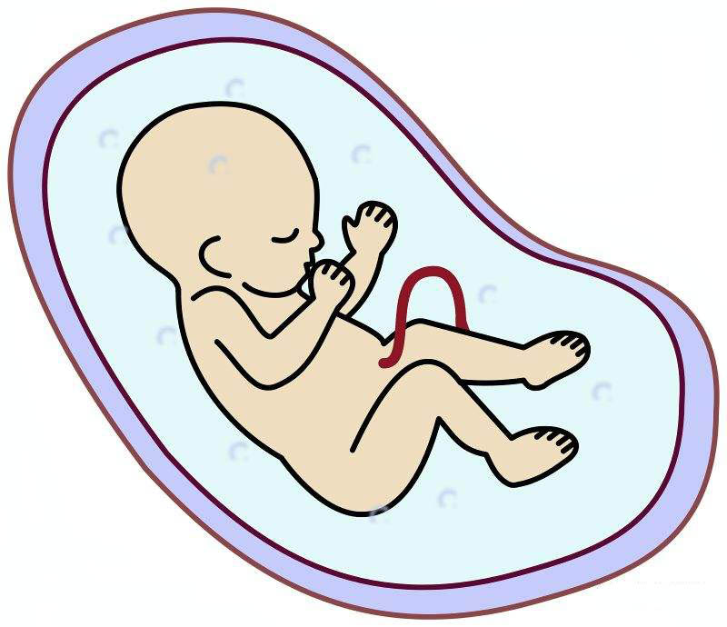 1692864627102712.jpeg 1C1476ADE.jpeg