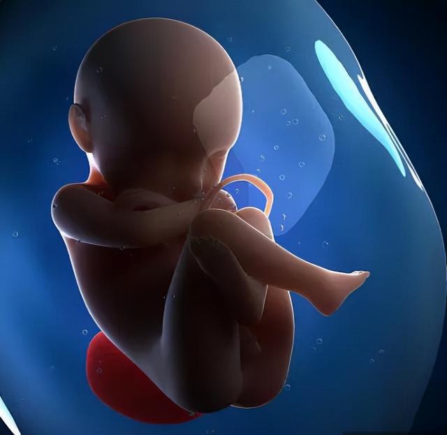 1692946179367015.jpg BA9FD135C.jpg