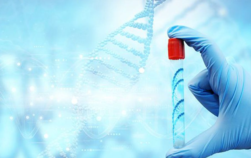 1692946305331952.png 1692946305331952.png