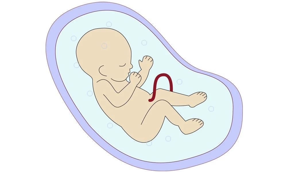 1692948206951262.jpg 5721CE5A6.jpg