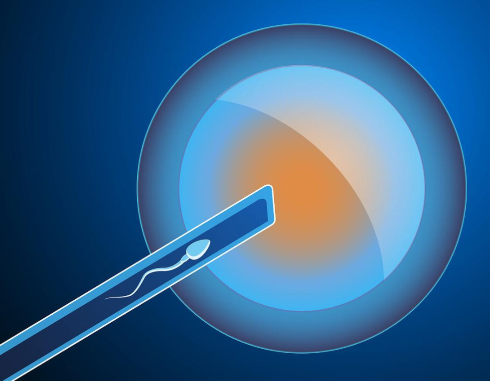 1693036832695866.png 78303031B.png