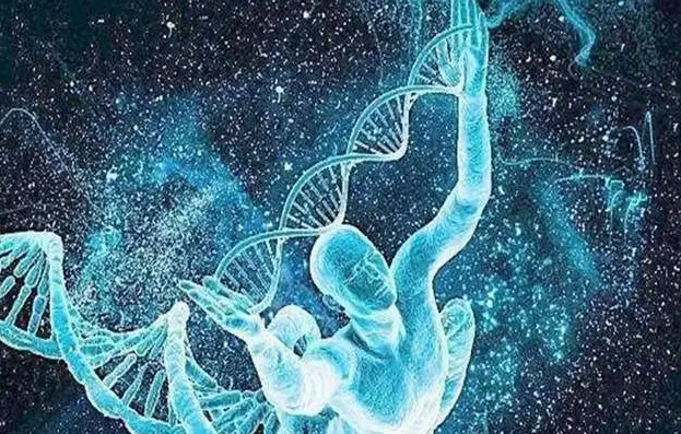 1693203935394781.png 2.png