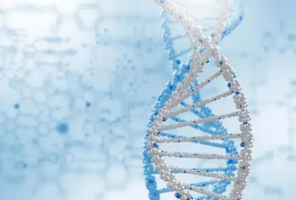 1693205092938810.png 139.png