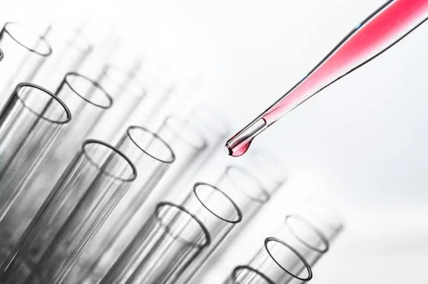 1693206496855944.png 1693206496855944.png