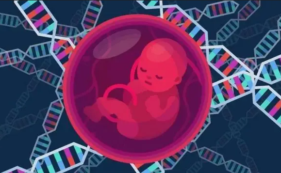 1693290767568571.png 114.png