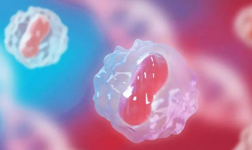 1693292643454046.png 1693292643454046.png