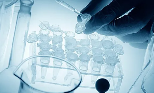 1693293434776654.png 34.png