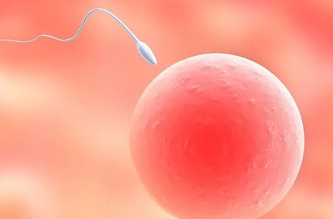 1693295194606853.png 1693295194606853.png