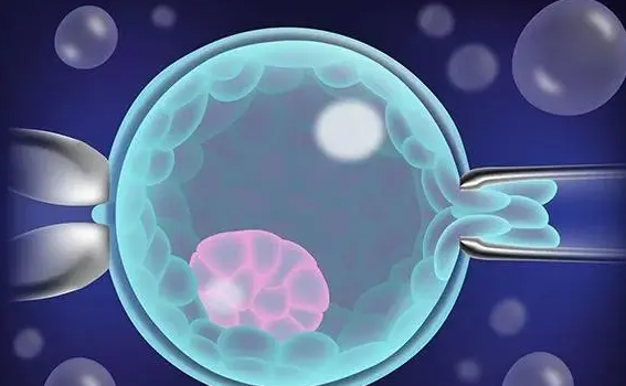 1693376301736778.png 94.png