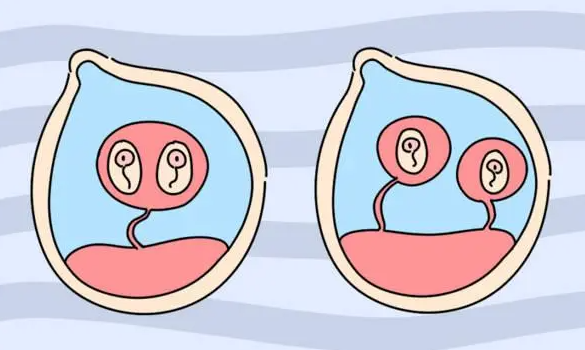 1693378745595863.png 78.png