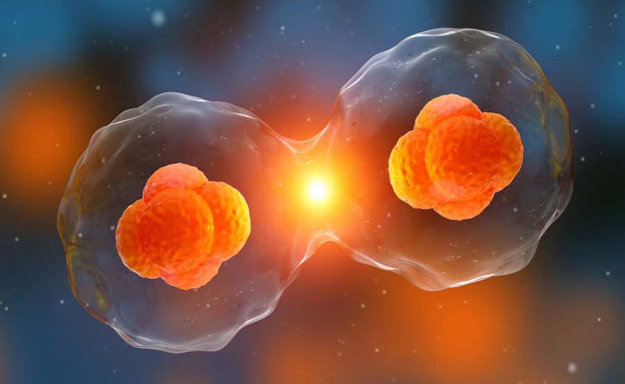 1693382475775576.png 1693382475775576.png