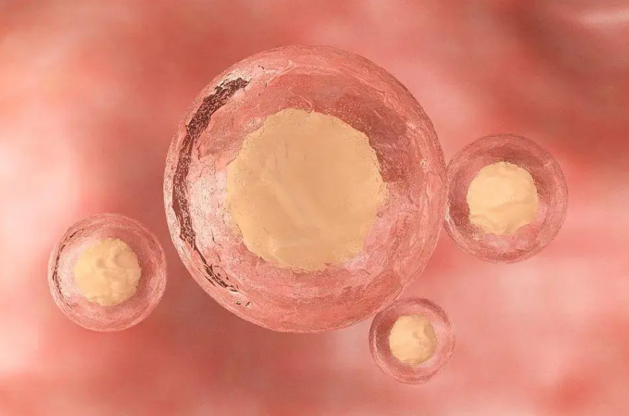 1693548103996838.png 1693548103996838.png