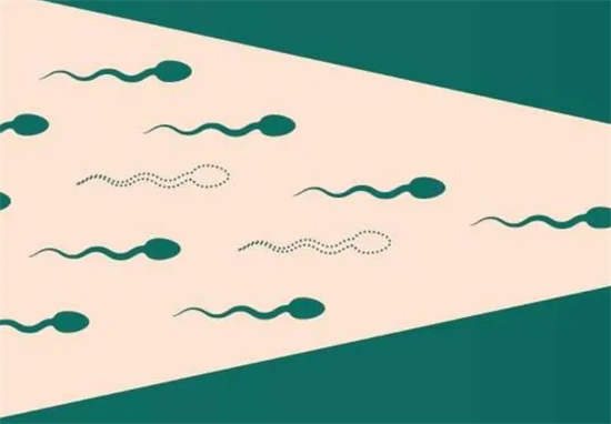 1693548452232801.png 103.png