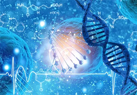 1693900479477231.png 25.png