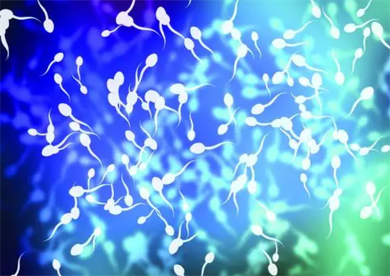 1694069663580234.png 104.png