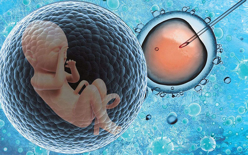 1694071573742969.jpg 0F0E5A9D1.jpg