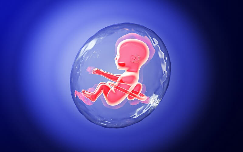 1694411610766531.jpg 8732BCCD4.jpg