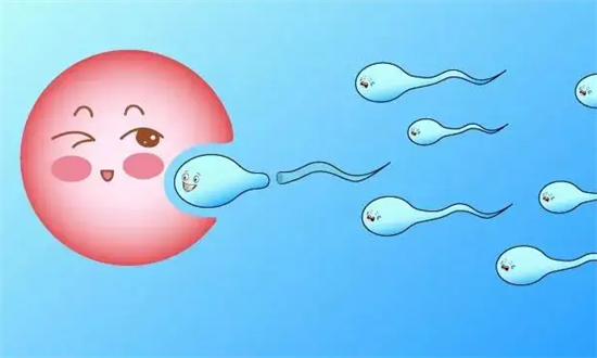 1694672197906664.png 84.png