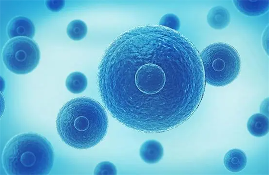 1694758364617144.png 1.png