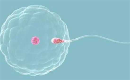 1695017836264180.png 46.png