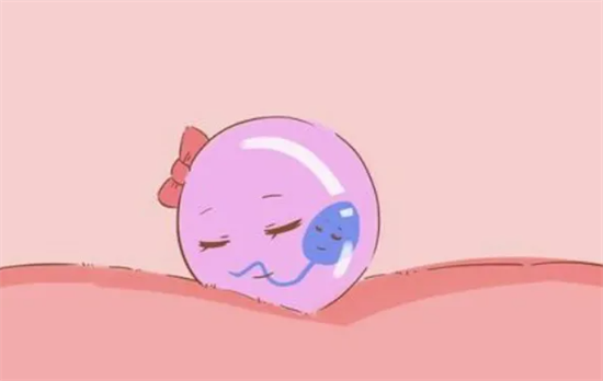 1695020695827052.png 74.png