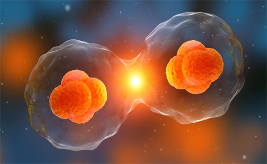 1695106461949103.png 108.png