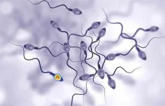 1695108655791033.png 97.png