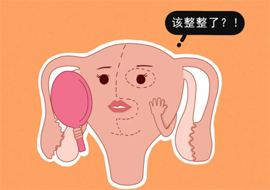 1695194681872660.png 76.png