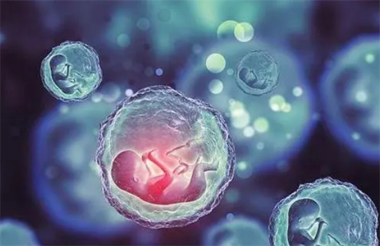 1695451526622485.png 93.png