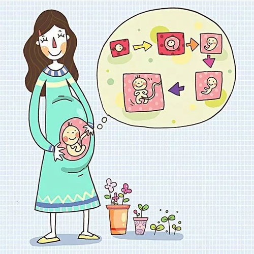 1695795898959874.jpg 孕63.jpg