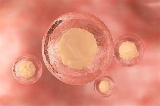 1697011854545332.png 12.png