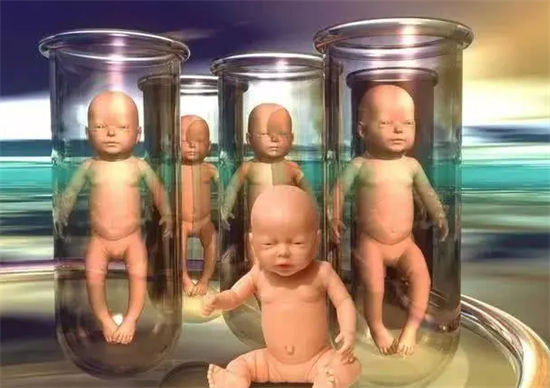 1697092372915726.png 5.png