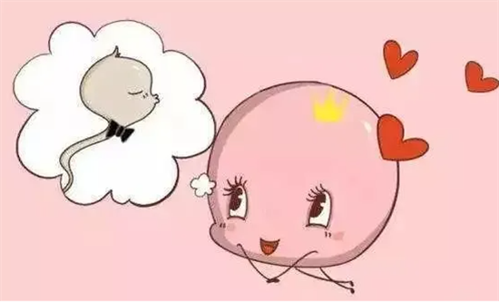 1697179107301040.png 66.png