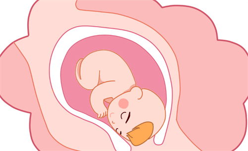 1697183126684184.png 孕21.png