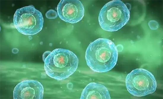 1697267825533794.png 116.png