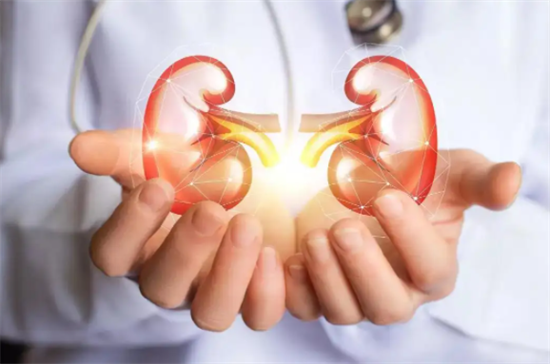 1698130554822710.png 68.png